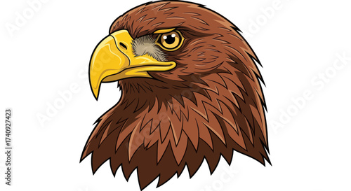 Detailed illustration of an eagle's head, profile view with sharp beak and detailed feathers