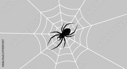 A stylized black spider silhouette centered on a white web against a gray background