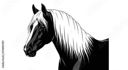 A stylized black and white illustration of a horse head, showing neck and mane