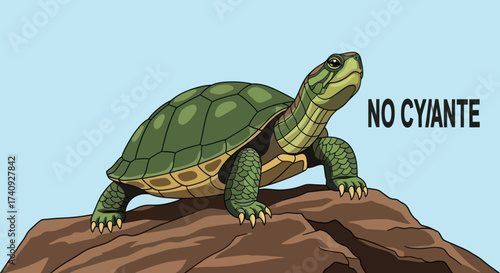 A cartoon turtle, walking on rock, with "NO CY/ANTE" text on light blue background