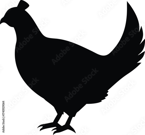 Sage Grouse Silhouette on Horizon