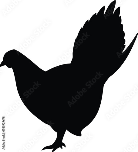 Sage Grouse Silhouette with Sunset