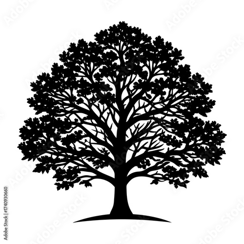 Vector art of silhouette of a mature tree, showcasing its intricate branch structure and full canopy in a simple, elegant design