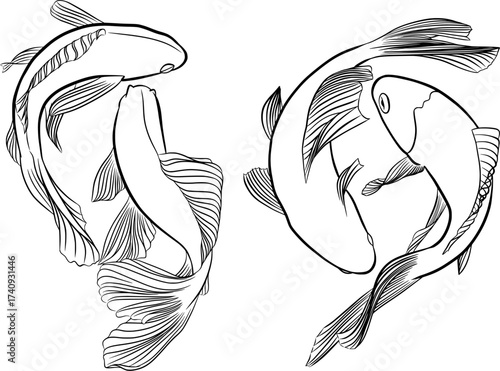 pair of koi fish set of hand drawn vector outline illustration