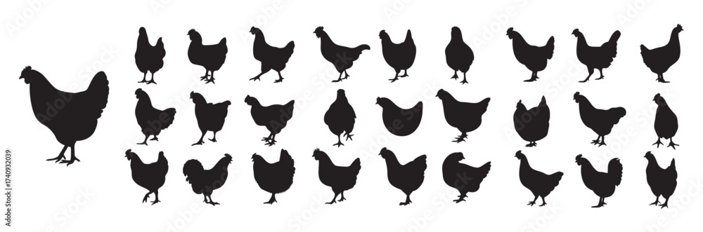 Fototapeta premium Chicken and Hen Farm Bird Vector Silhouette Icons Set: Poultry, Livestock, and Agriculture Graphics