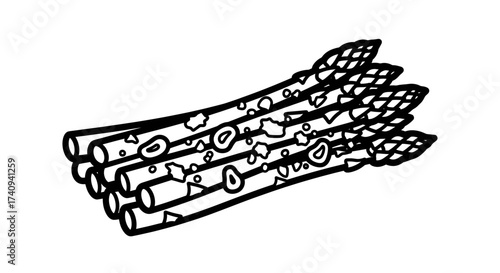 Asparagus bunch illustration black and white drawing healthy food fresh vegetable.