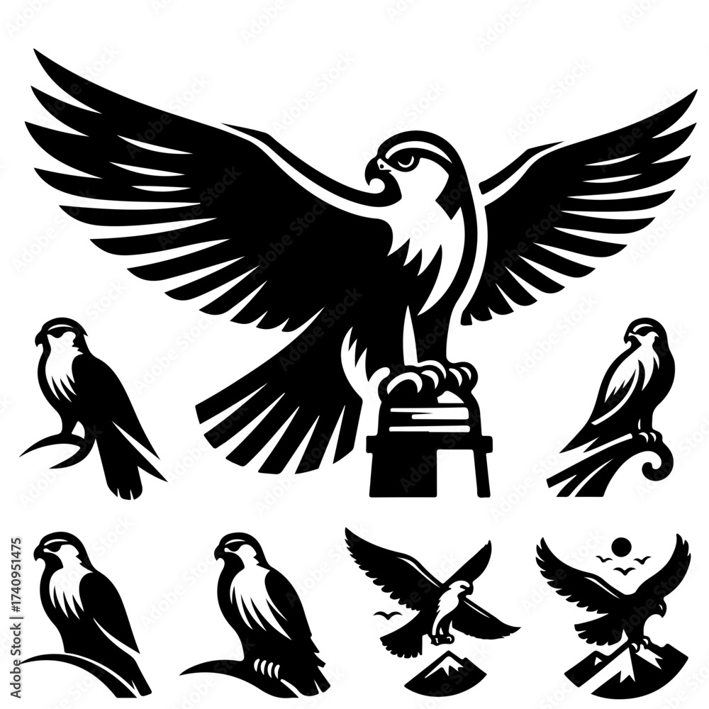 Obraz premium Collection of black and white falcon illustrations in various poses and compositions on a white background