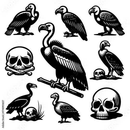 Collection of vultures and skulls in black and white showcasing death and decay in a stark illustration