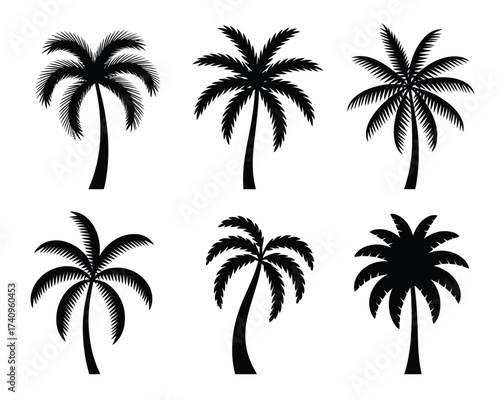 Set of six black palm tree silhouettes vector illustration scalable eps icon for tropical designs silhouette vector illustration white background
