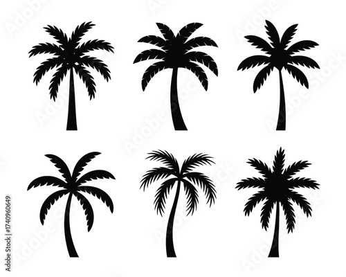 Set of six diverse black palm tree silhouettes vector illustration scalable eps graphic design elements silhouette vector illustration white background