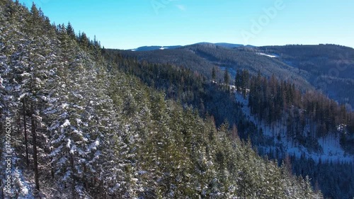 Discover a stunning winter landscape featuring snow-covered trees and rolling mountain ranges. The scene captures the serenity of nature in a peaceful mountainous region.