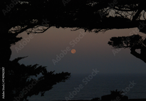 Moonrise Kingdom