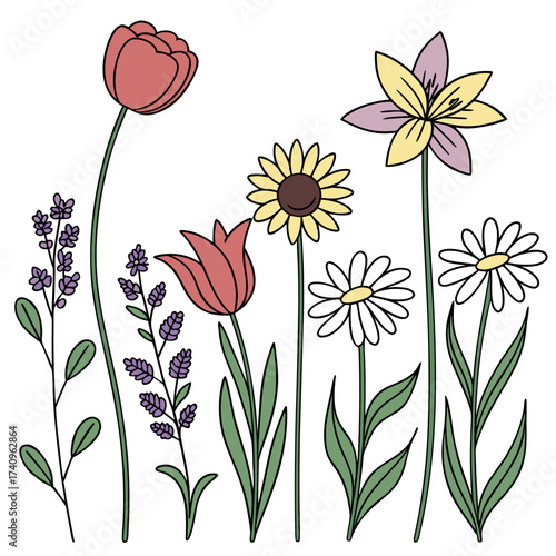 A charming collection of hand drawn spring and summer flowers including tulips lavender daisies and sunflowers
