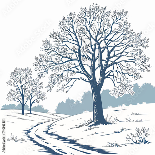 Bare winter trees stand on a snowy hill beside a winding path with shadows cast by the branches