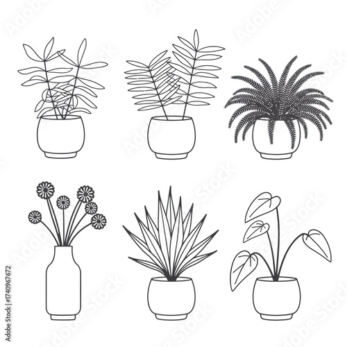 Six distinct potted plants and a vase collection vector illustration for decorative and design projects silhouette vector illustration white background