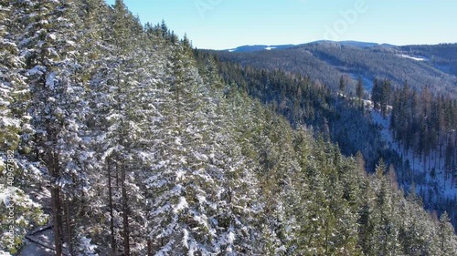 Discover a stunning winter landscape featuring snow-covered trees and rolling mountain ranges. The scene captures the serenity of nature in a peaceful mountainous region.