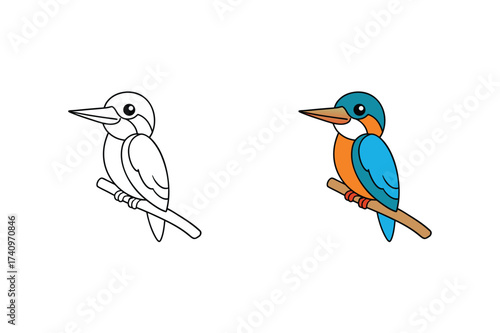 Vector art of a captivating illustration showcases a charming kingfisher, presented in both vibrant color and a classic black and white line drawing