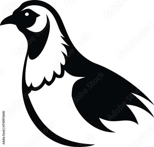 Sage Grouse Bird Dark Flight Silhouette