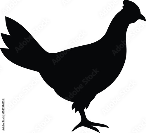 Wild Greater Sage Grouse Flying Silhouette