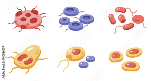 Colorful flat design bacteria and red blood cells collection