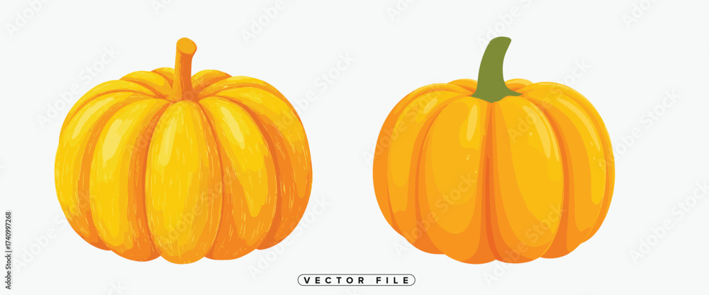 Two vibrant yellow pumpkins side by side a colorful autumn illustration