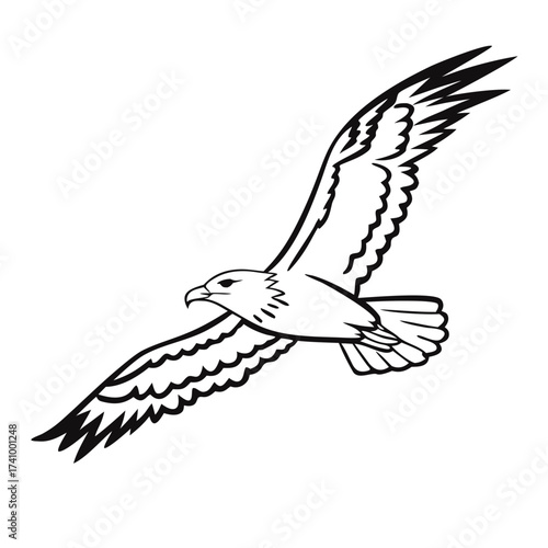 Line art of a flying eagle isolated on white background