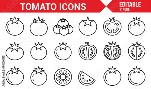 Fresh tomato vector symbols for agriculture, nutrition, and gardening design