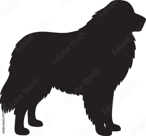Newfoundland dog silhouette side profile majestic breed animal pet canine companion