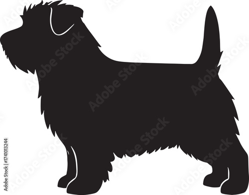 Fotografia Silhouetted cairn terrier dog breed standing profile portrait art