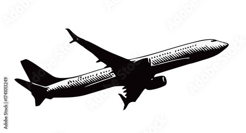 Commercial airplane flying, o...