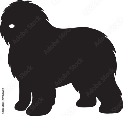 Silhouette of a fluffy old english sheepdog breed standing alertly with shaggy fur detail