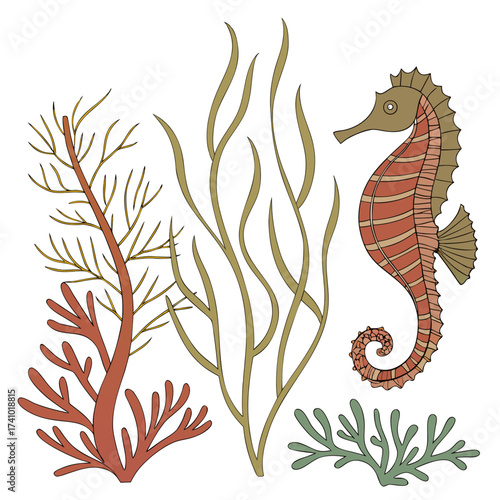 Stylized illustration of a charming seahorse swimming amongst colorful seaweed and coral on a white background