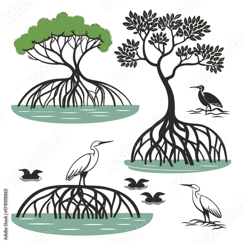 Stylized illustration of mangrove trees with exposed roots and wading birds in calm water
