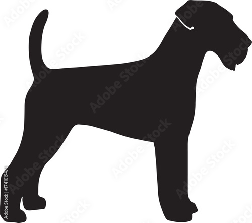 Black silhouette of a fox terrier dog standing profile view elegant canine breed