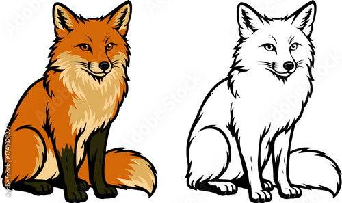 detailed flat vector of , colored and black and white outlined for kids coloring book