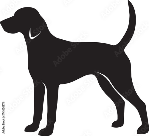 Silhouette of a pointer dog breed standing alert ready for action pet animal companion