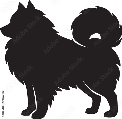 Silhouette of a fluffy dog breed with a curled tail standing alert side profile