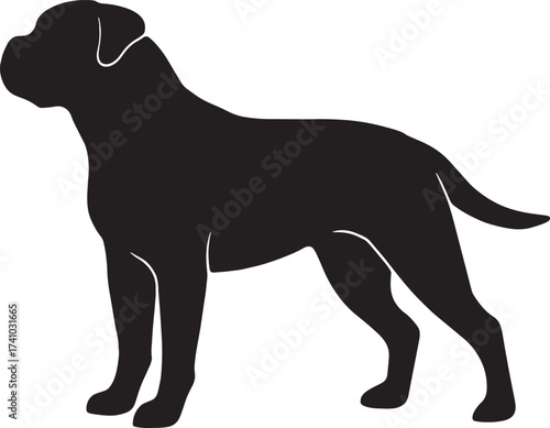 Silhouette of a boxer dog standing alertly showing its muscular build and distinctive head shape