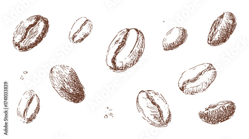 A seamless pattern of hand-drawn coffee beans on a white background