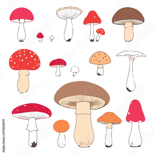 set of mushrooms vector illustration