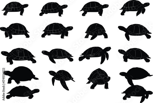 Turtle silhouette collection, black reptile icons, tortoise vector set, wildlife animal shapes, shell creature poses, nature illustration pack, editable design elements