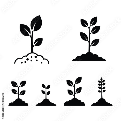 Illustrative depiction of plant growth stages from seedling to mature plant