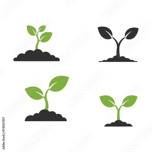 Four stylized plant sprouts in varying stages of early growth