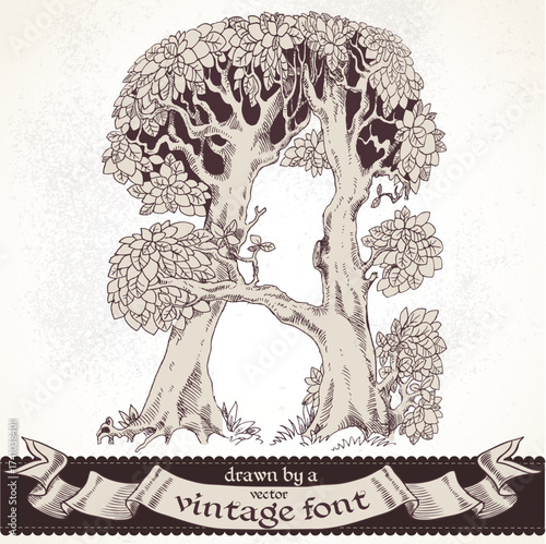 Fable forest hand drawn by a vintage font - A