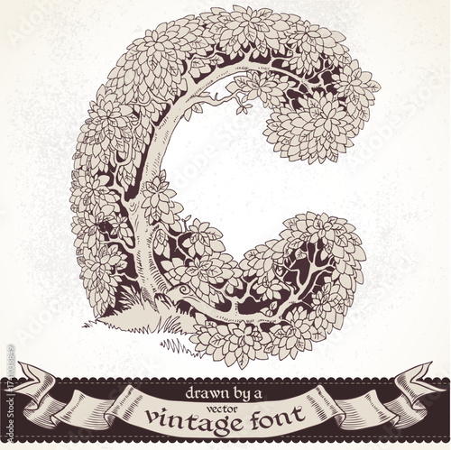 Fable forest hand drawn by a vintage font - C