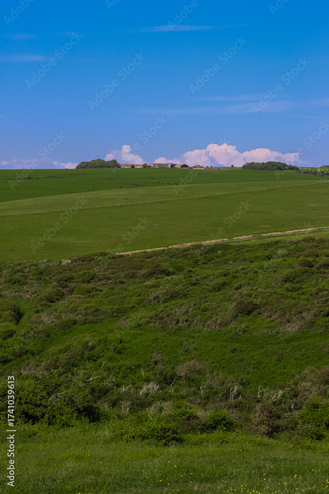 Naklejka premium Green landscape with rolling hills, distant farm buildings, and blue sky. East Sussex countryside, England