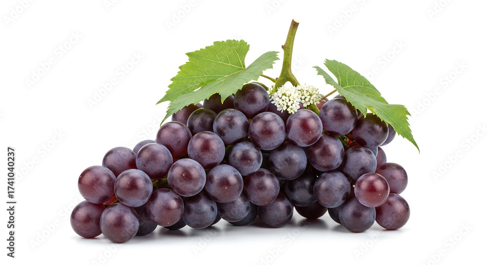 Fototapeta premium A bunch of ripe red grapes isolated on white background these juicy and sweet fruits are perfect for snacking, making wine, or adding to a cheese board