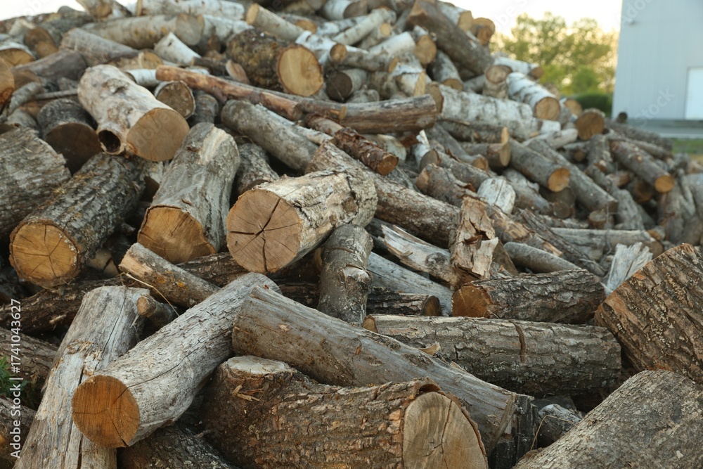 Naklejka premium Pile of cut firewood outdoors, closeup view