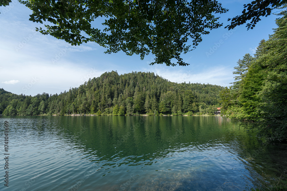 Fototapeta premium Serene lake surrounded by dense forests reflecting a clear sky during a calm afternoon