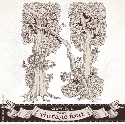 Fable forest hand drawn by a vintage font - N